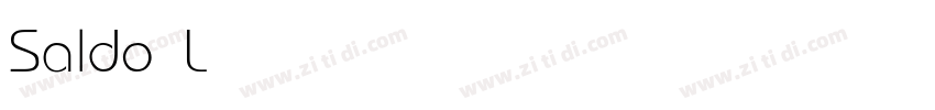 Saldo Light字体转换
